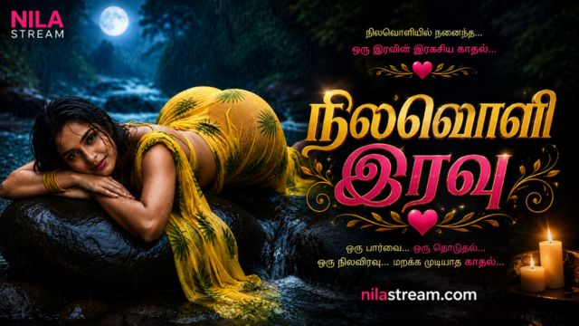 நிலவொளி இரவு